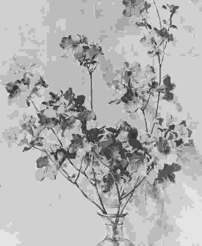 New-Shop-2-13 sunset