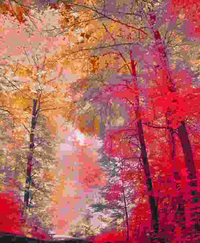 New-Shop-2-2 Vibrant Artwork