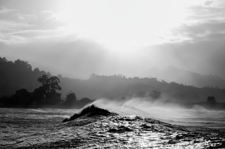 ir a Coastal City Art Coastal City Art